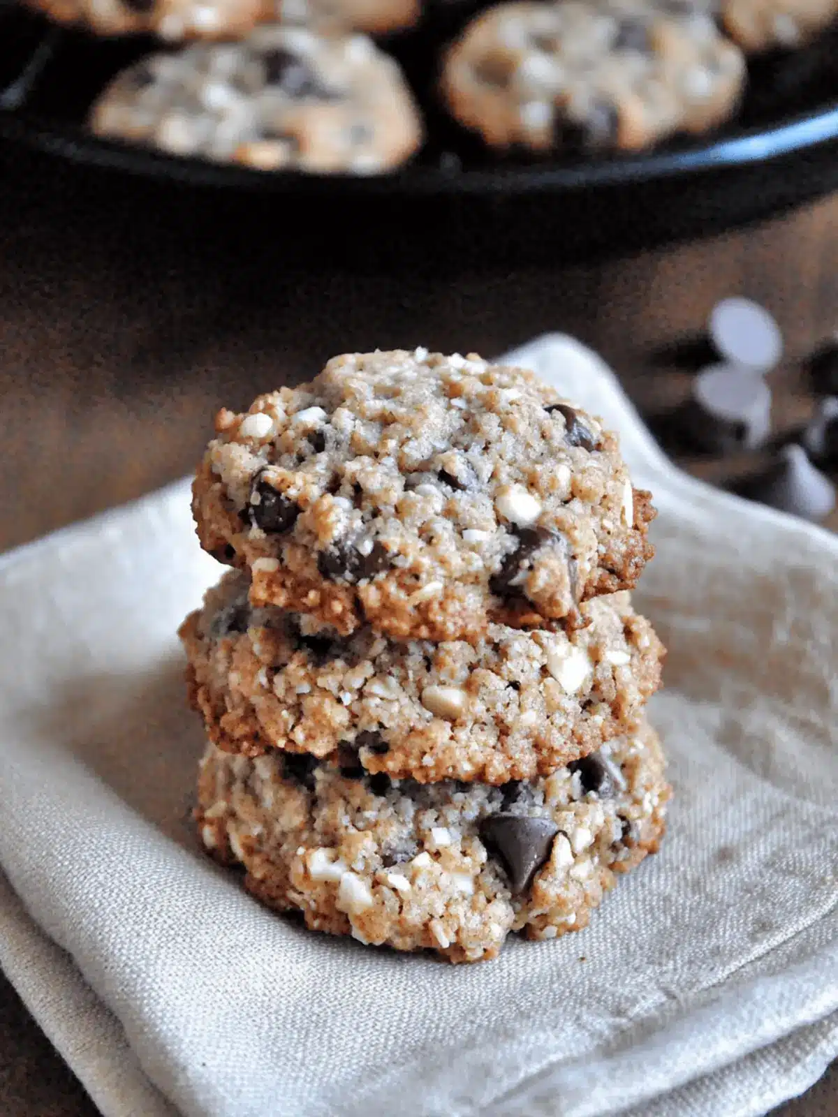 Almond Meal Cookies with Chocolate Chips and Coconut Delight 3 Almond Meal Cookies with Chocolate Chips and Coconut